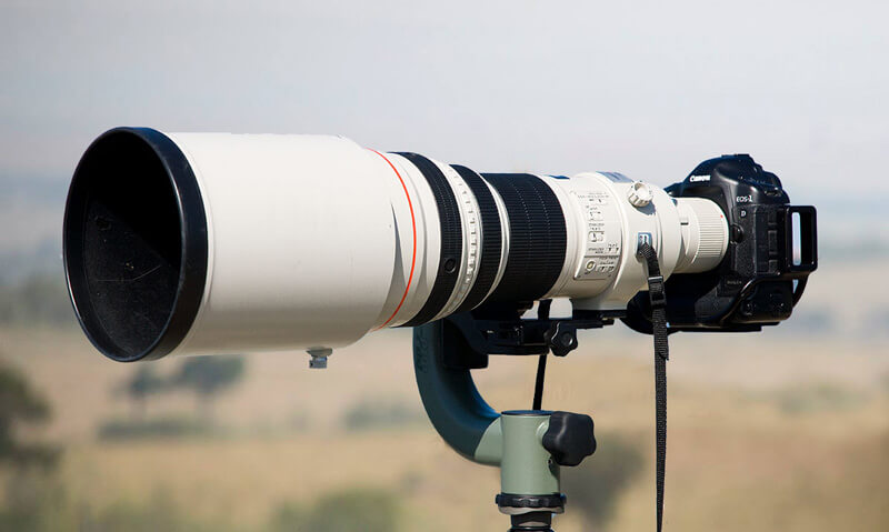 600mm Lens Kenya safari