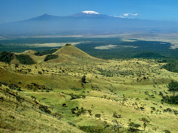 Kenya Tanzania Safaris