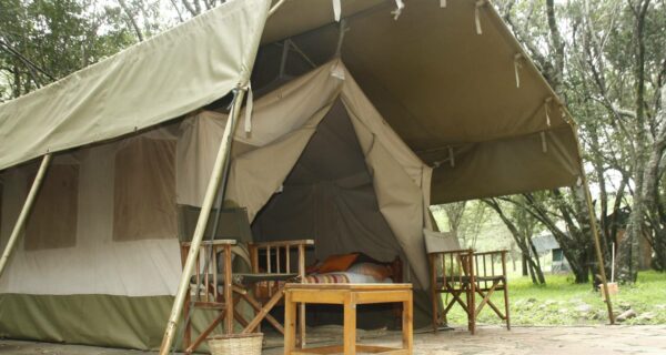 Tented camp African budget safari