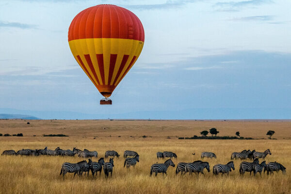 Balloon safari Kenya zebras