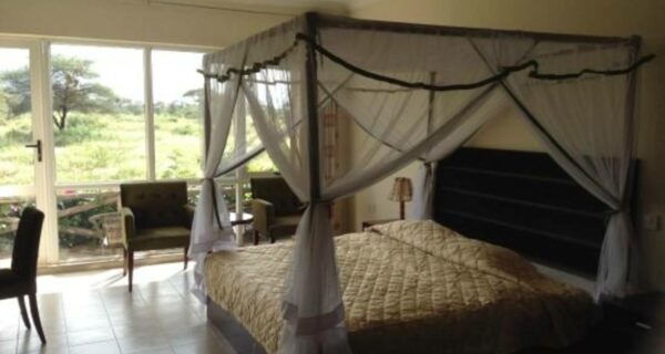 Kenya safari luxury lodge accommodation Africa adventure