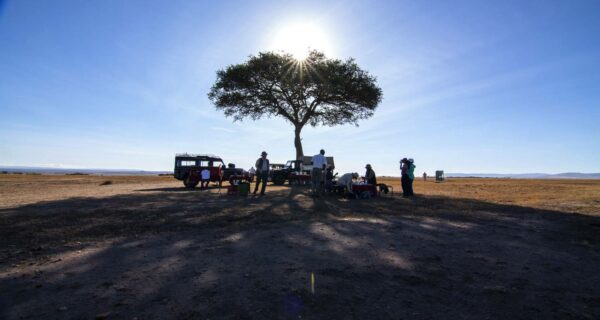 Kenya safari tour picnic lunch game drive Africa holiday