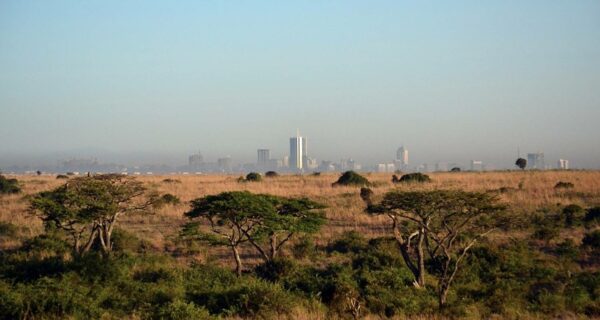 African safari Nairobi skyline from the Nairobi National Park