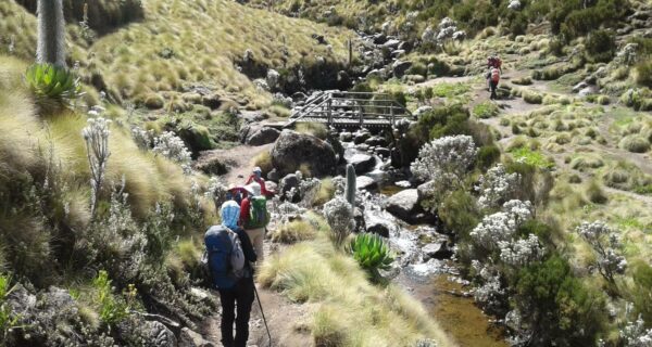 Mount Kenya climbing safari tours affordable cheap price